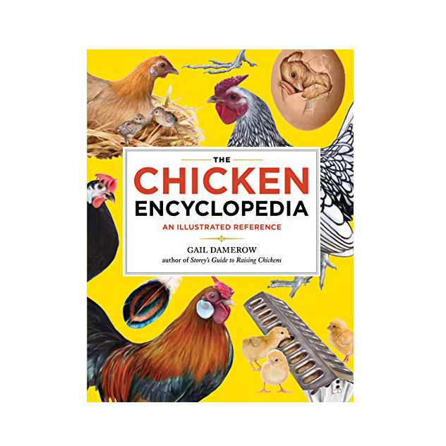 CHICKEN ENCYCLOPEDIA