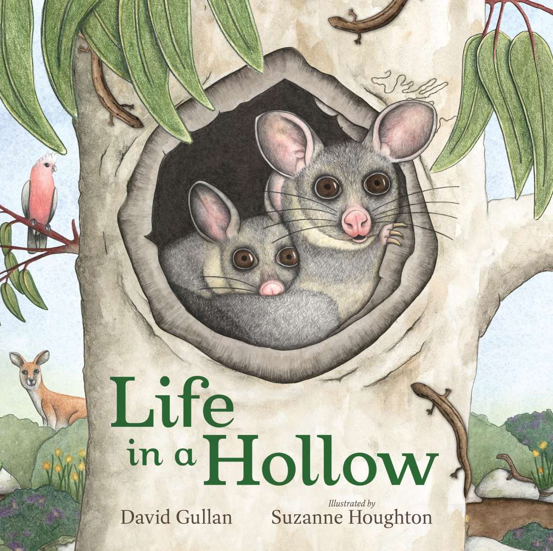 LIFE IN A HOLLOW book