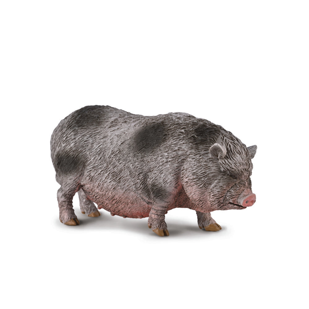 Collecta Pot Bellied Pig (M)