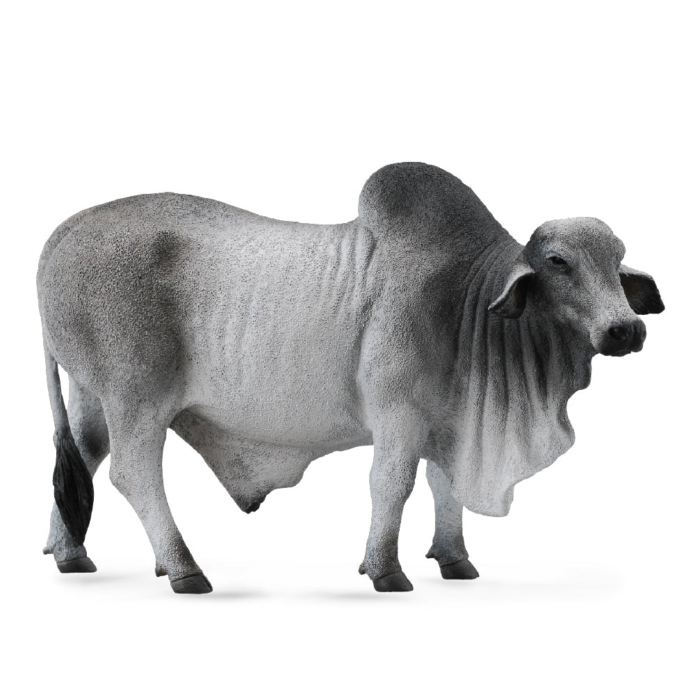Collecta Brahman Bull Grey (L)