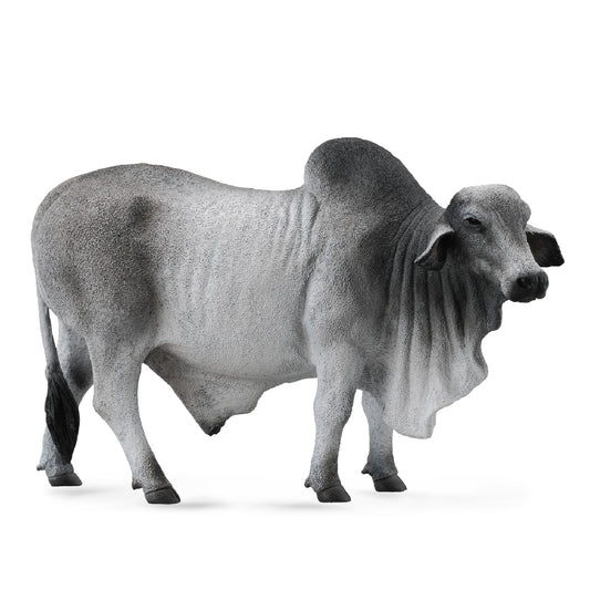 Collecta Brahman Bull Grey (L)