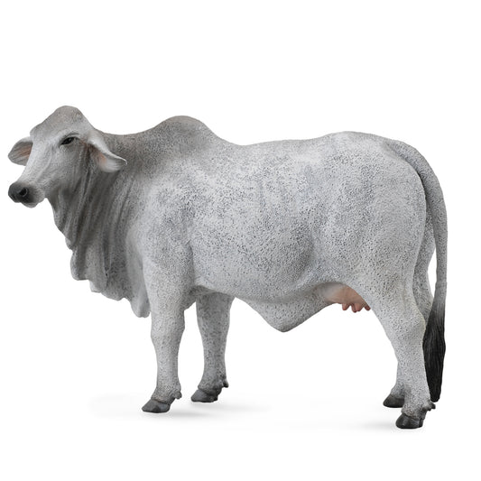 Collecta Brahman Cow Grey (L)