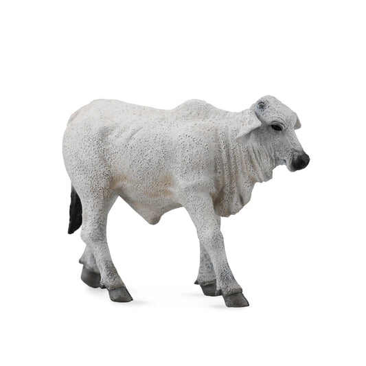 Collecta Brahman Calf Grey (S)