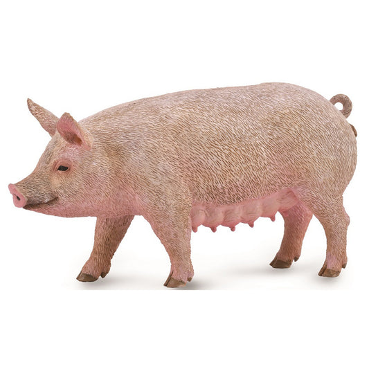 Collecta Pig - Sow (M)