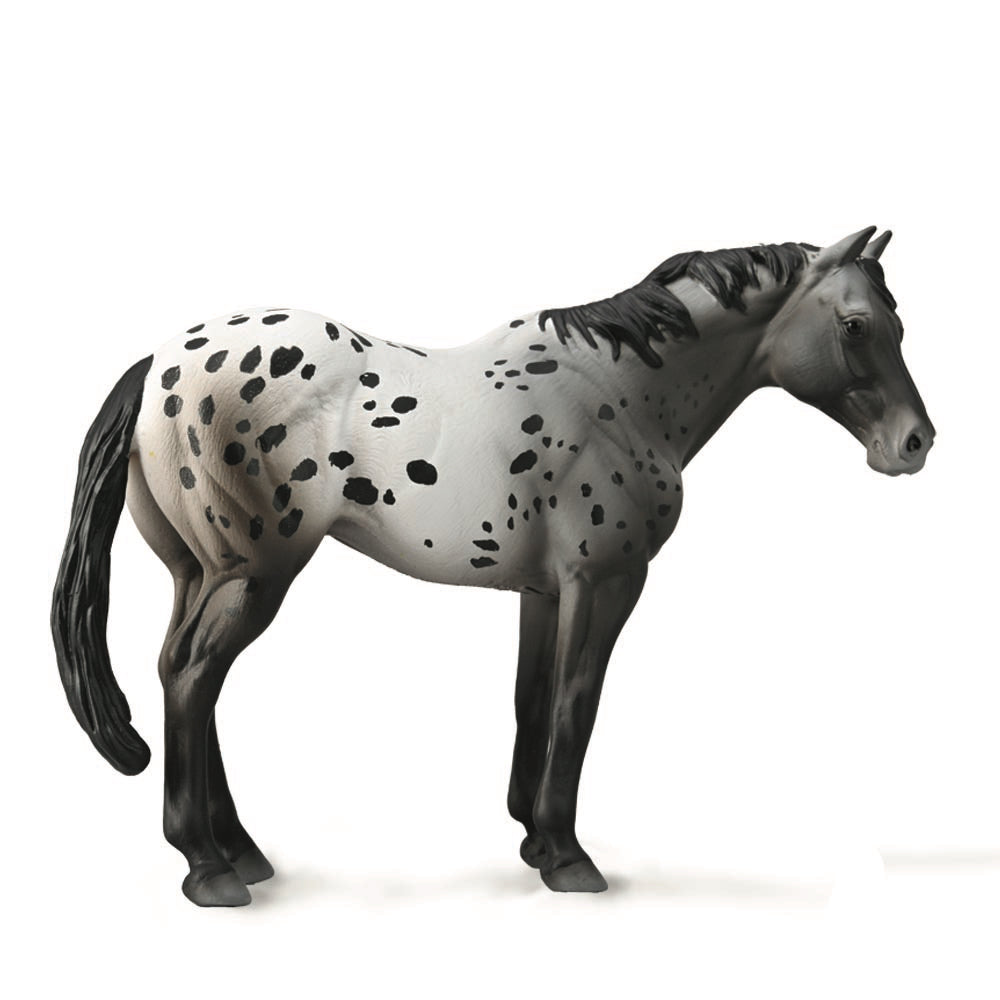 CollectA Appaloosa Blue Roan Horse (XL)