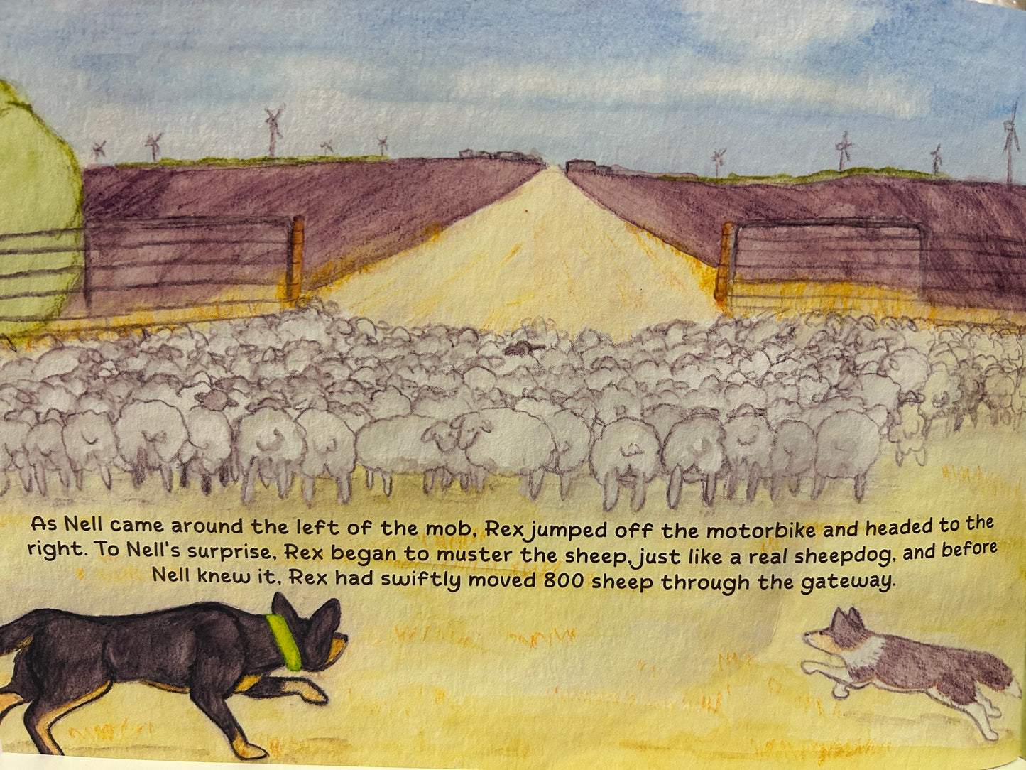 Rex The Sheepdog Who Isn't A Sheepdog book