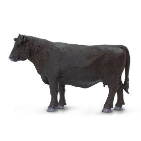 Safari Farm Angus Cow