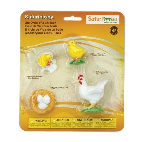 SAFARI LTD LIFE CYCLE OF A CHICKEN SAFARIOLOGY