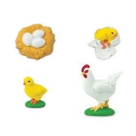 SAFARI LTD LIFE CYCLE OF A CHICKEN SAFARIOLOGY