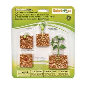 SAFARI LTD LIFE CYCLE OF A GREEN BEAN PLANT SAFARI