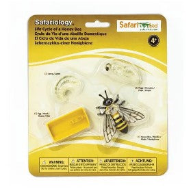 SAFARI LTD LIFE CYCLE OF A HONEY BEE SAFARIOLOGY