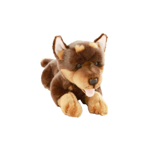 Gismo – Red and tan Australian Kelpie puppy Size 30cm/12″