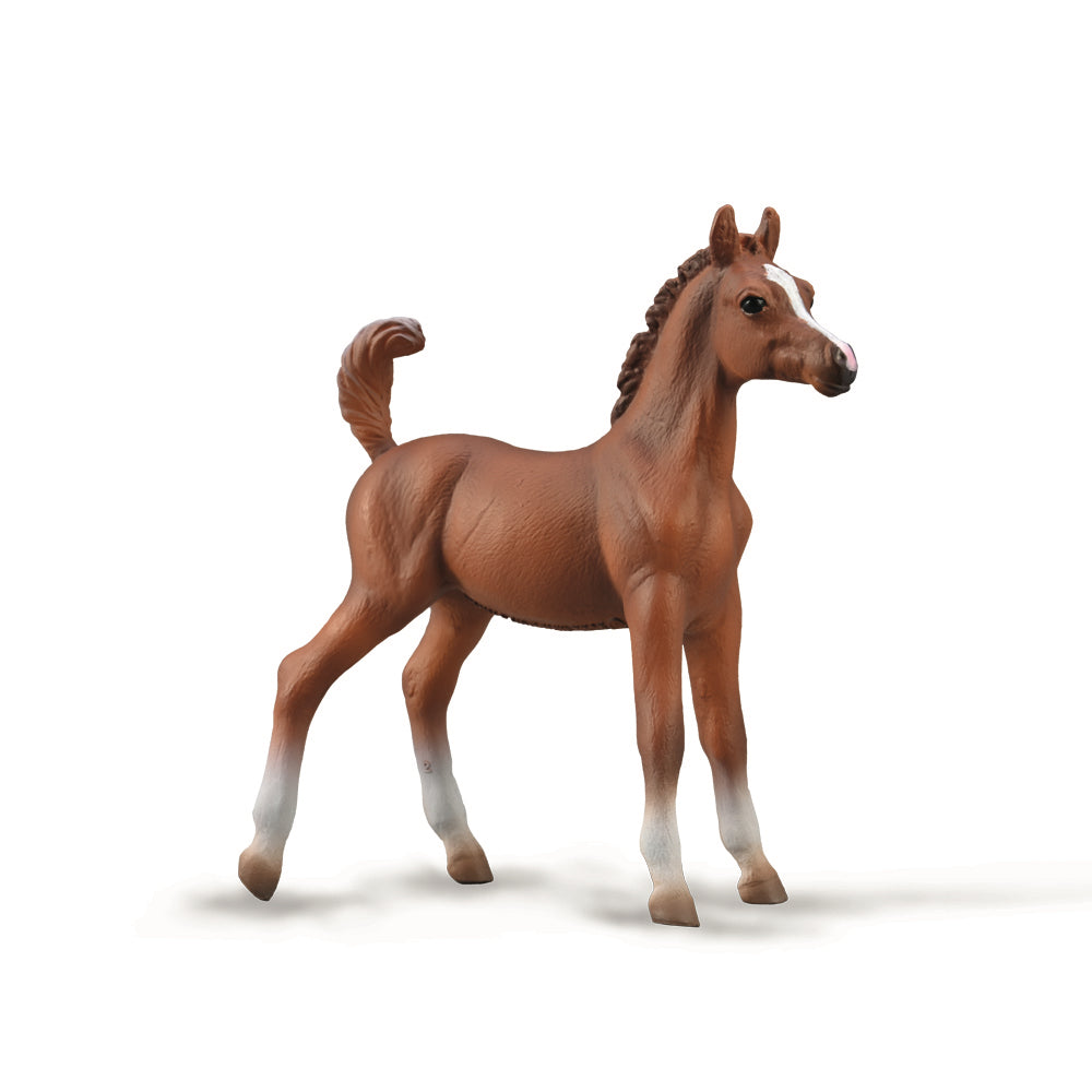 Collecta Arabian Foal Chestnut (M)