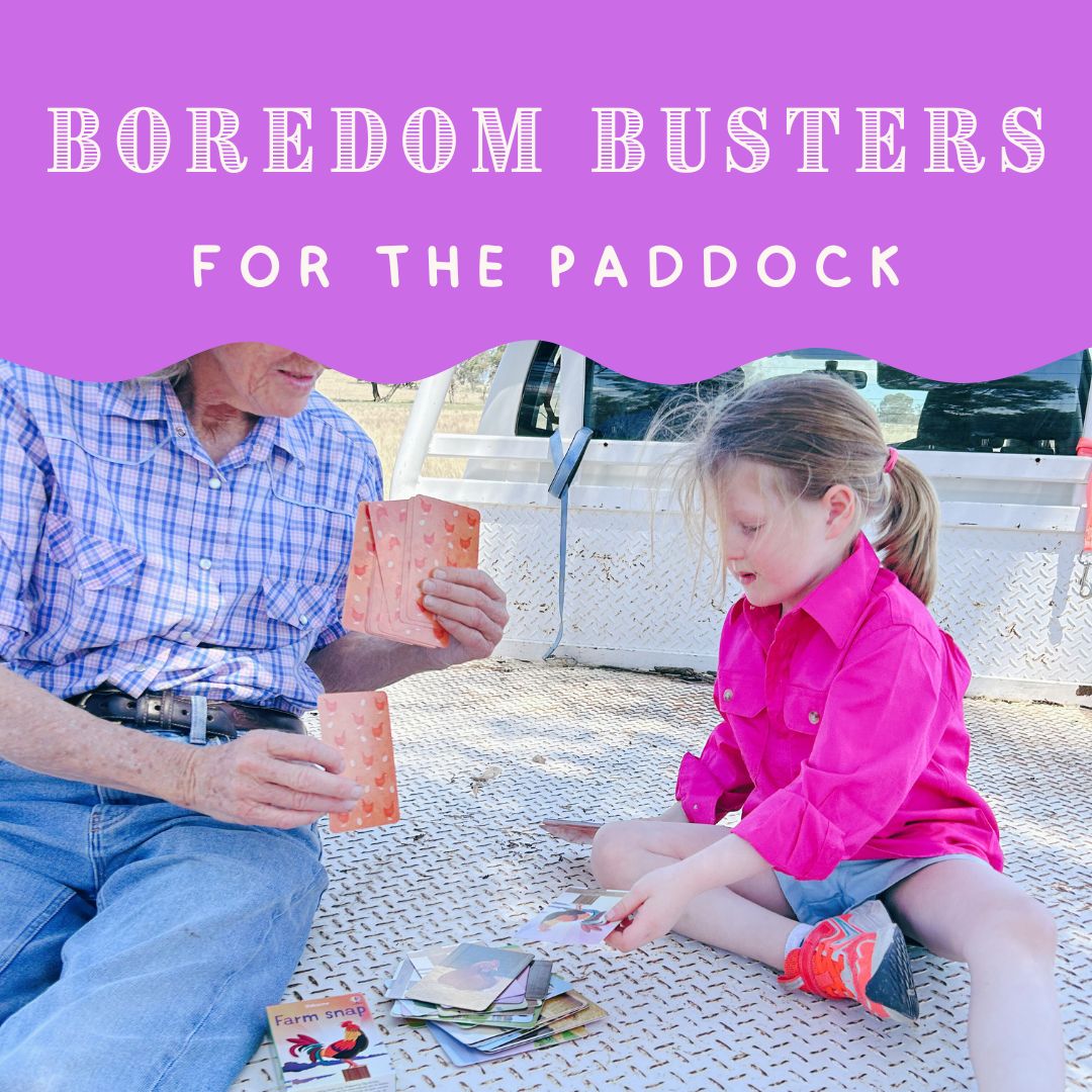 Boredom Busters for the Paddock