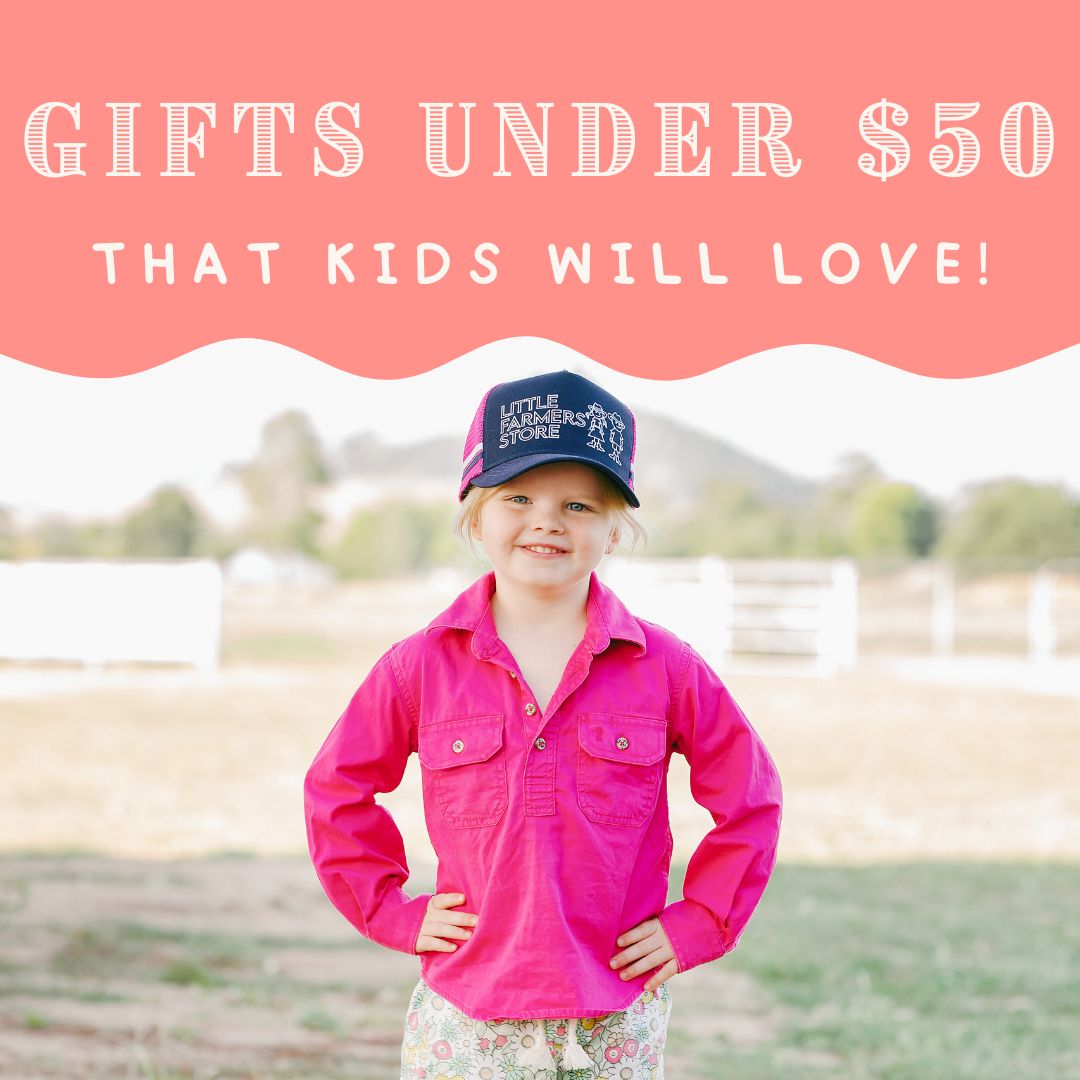 Gifts ideas under $50
