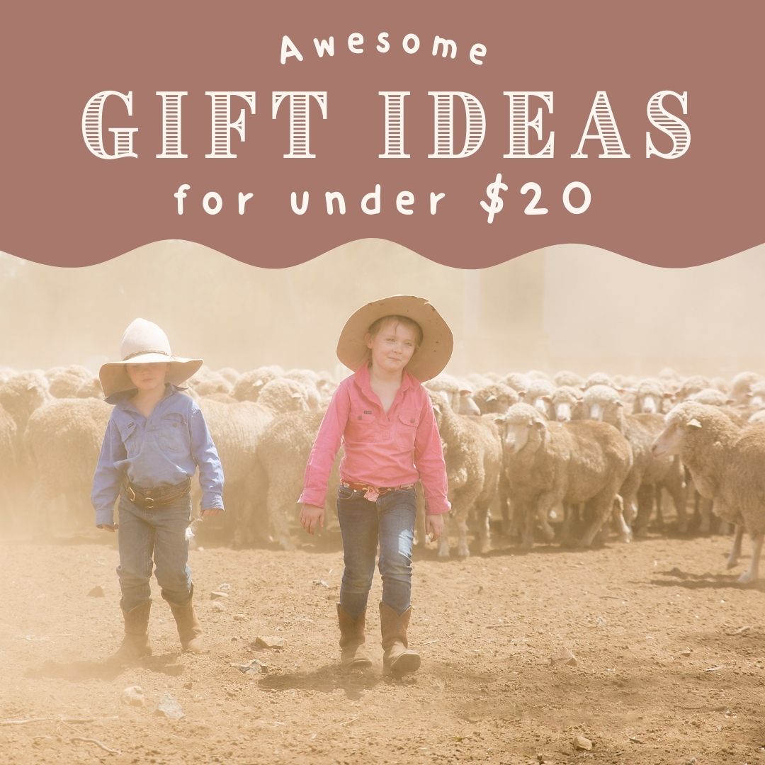 Gift ideas under $20