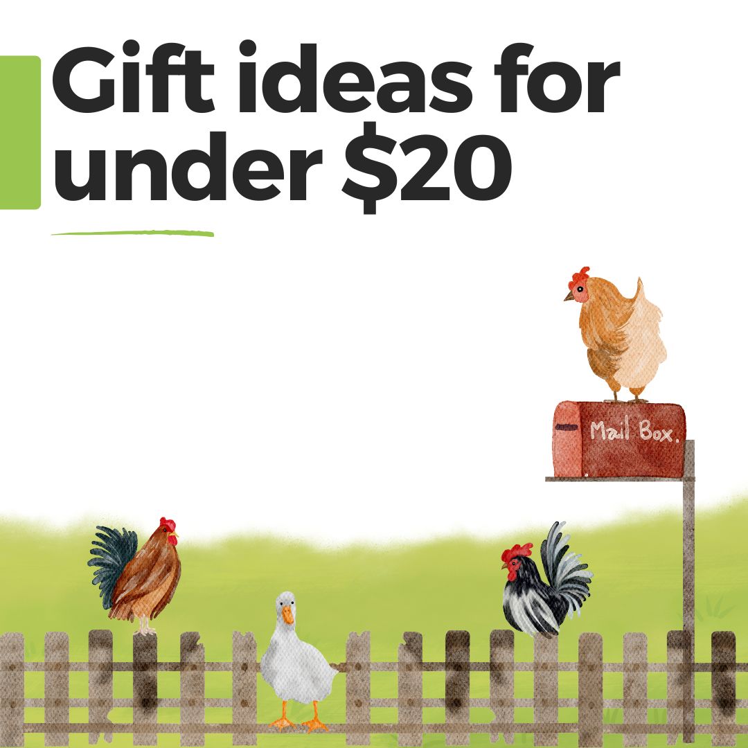 Gift ideas under $20