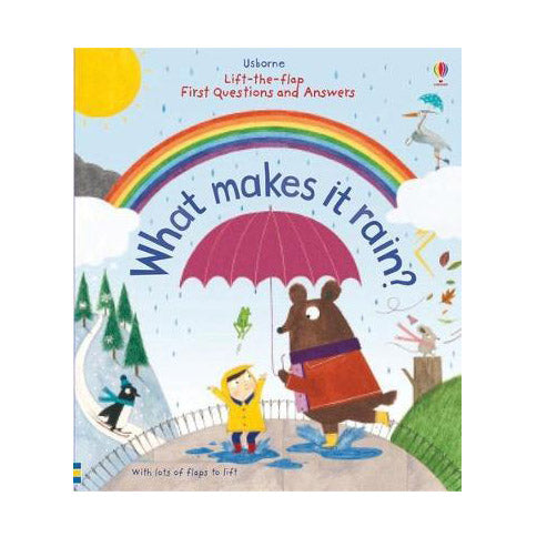 First Questions and Answers: What makes it rain? book