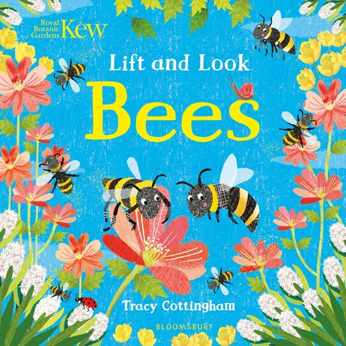 Lift and Look Bees board book