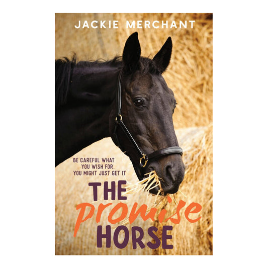 The Promise Horse book
