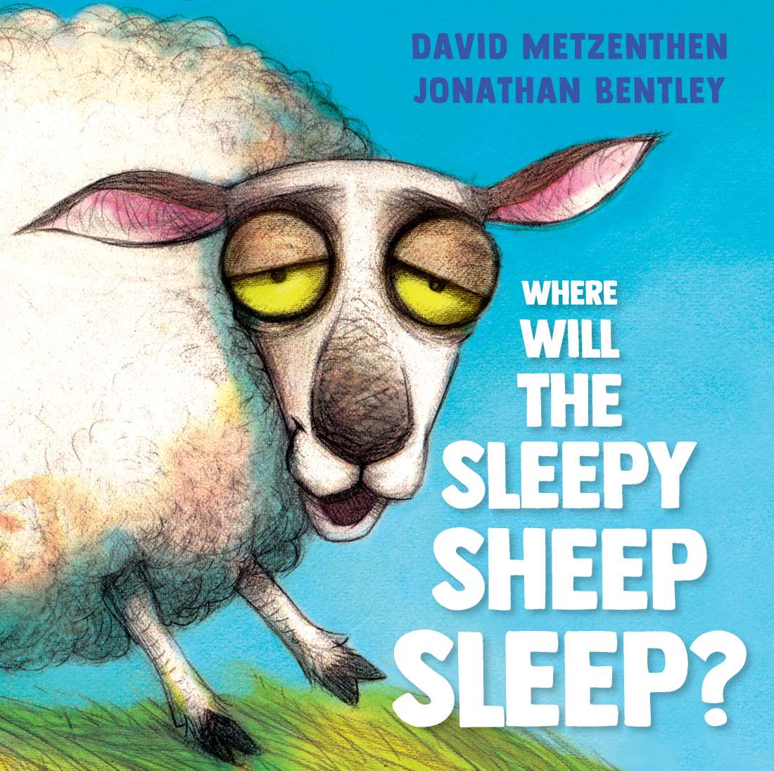 WHERE WILL THE SLEEPY SHEEP SLEEP?