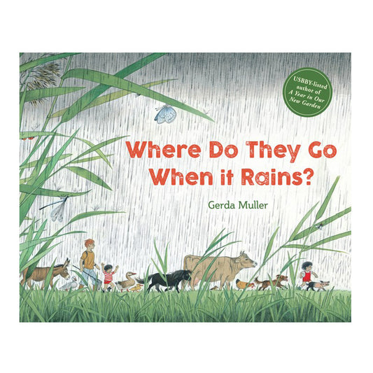 Where Do They Go When It Rains?