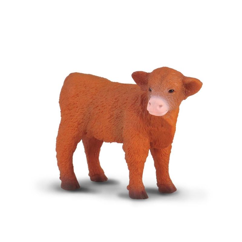 Collecta Highland Calf Standing (S)