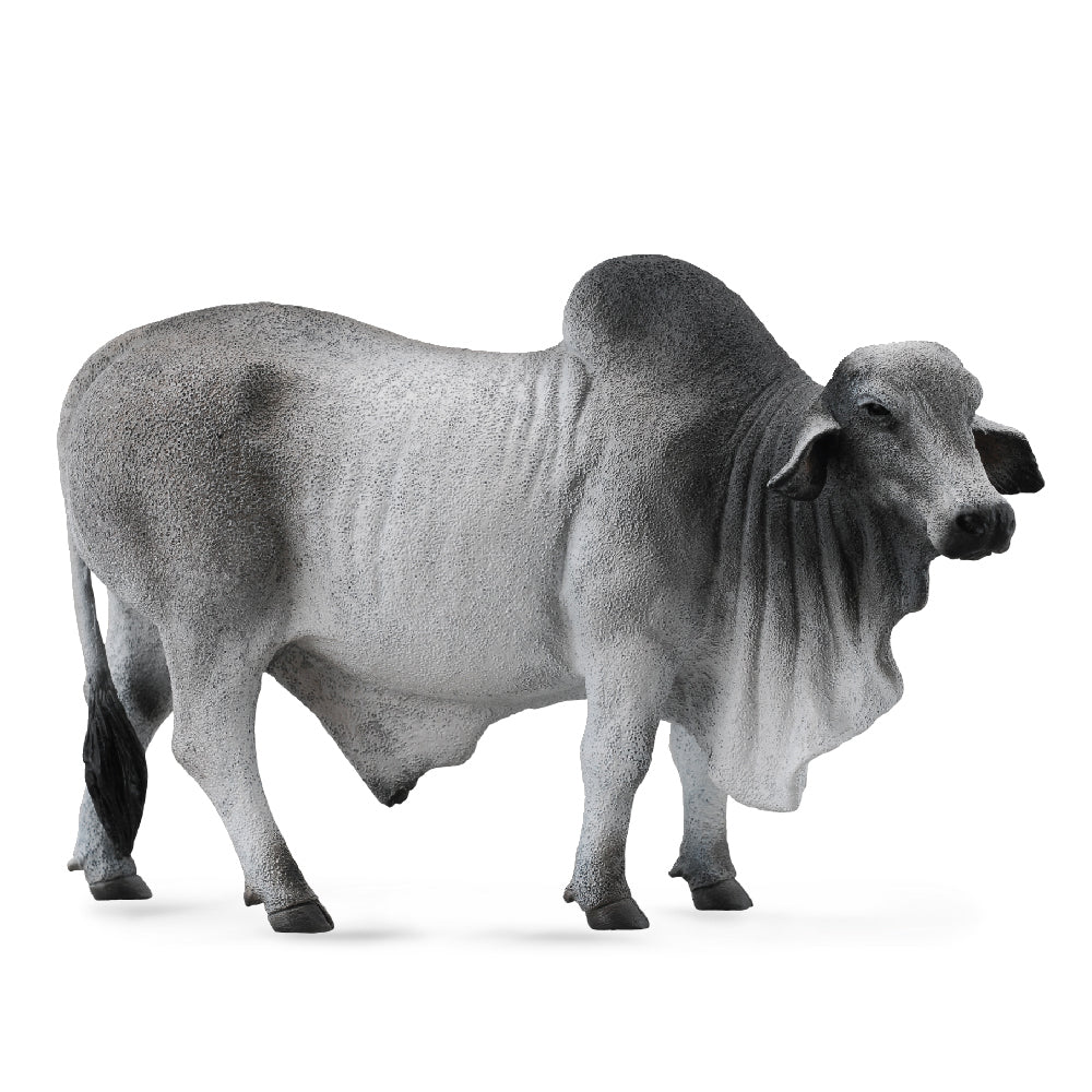 COLLECTA BRAHMAN BULL GREY