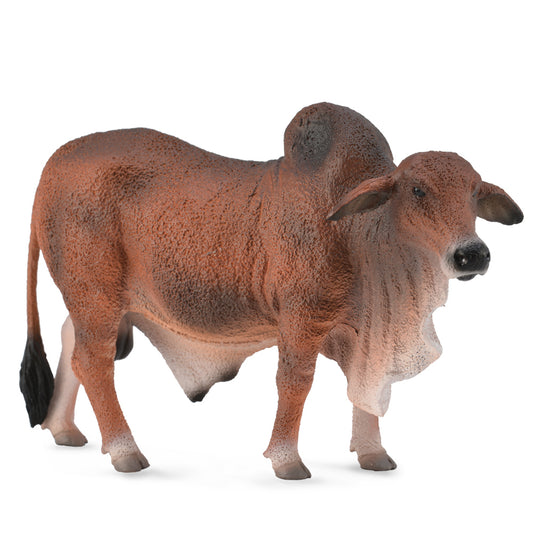 COLLECTA BRAHMAN BULL RED