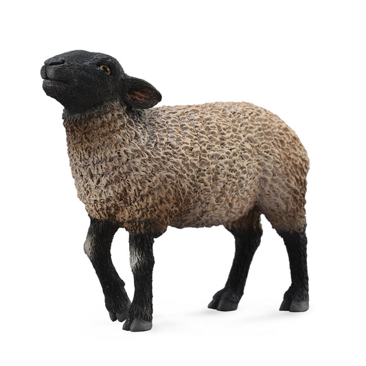 Collecta Suffolk Sheep (M)