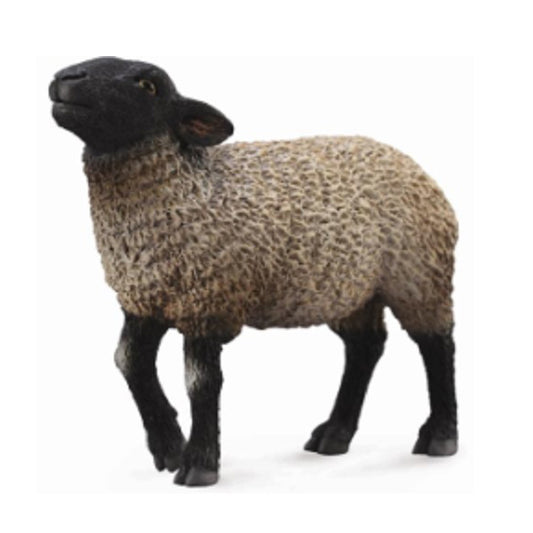 Collecta SUFFOLK SHEEP (M)