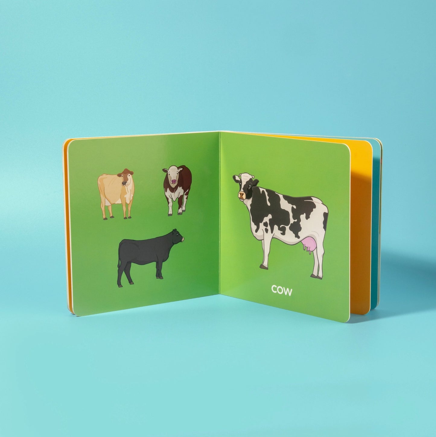 My First George the Farmer Book Collection Board Books Set