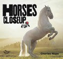 Horses Close Up book