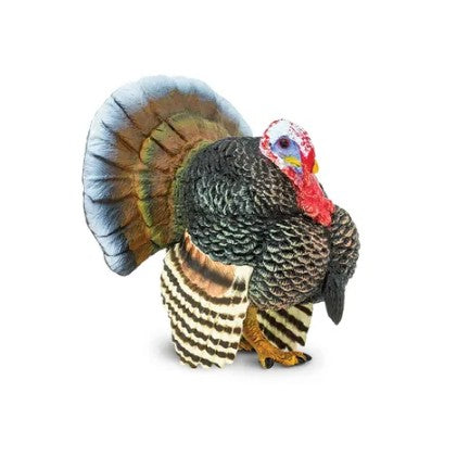 Safari Ltd Turkey