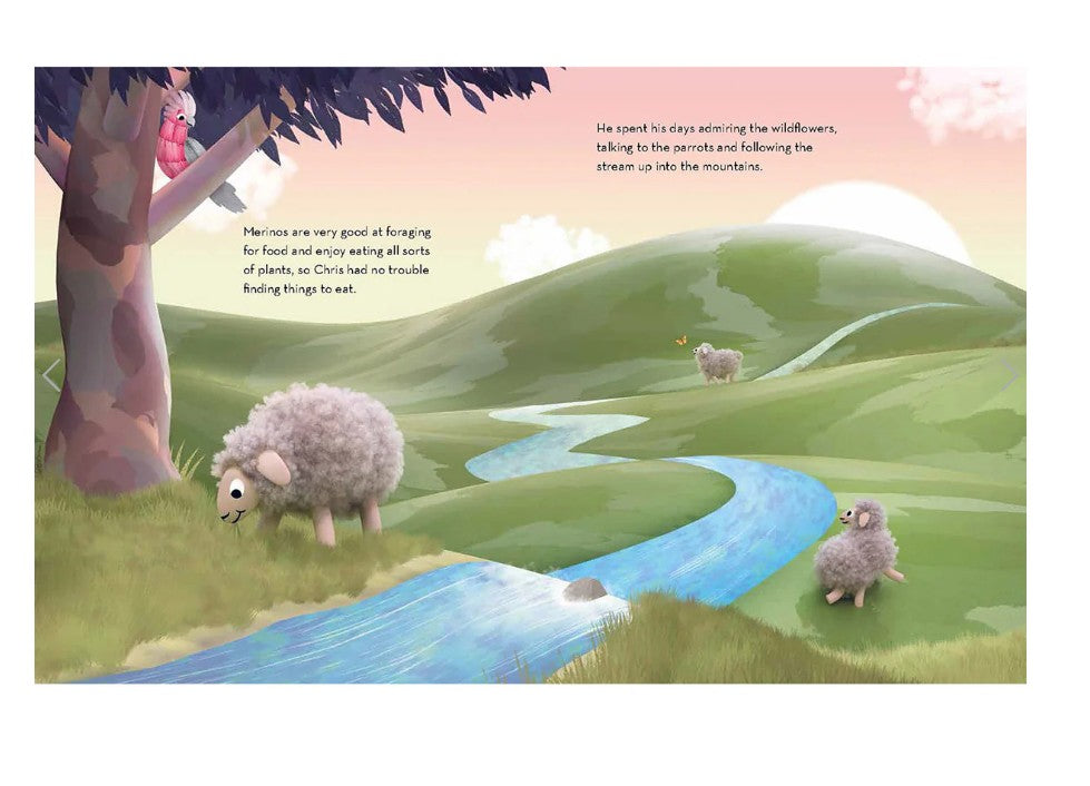 A Woolly Tale Hardcover Book