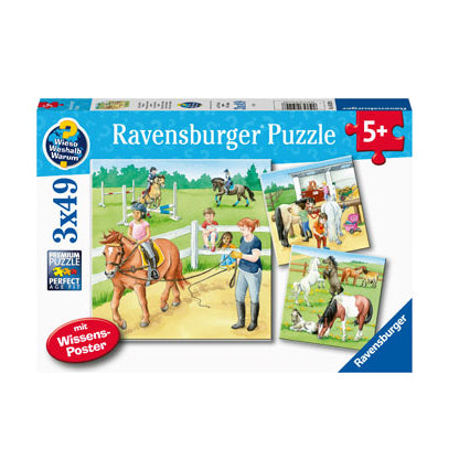 Rburg - A Day at the Stables Puzzle 3x49pc