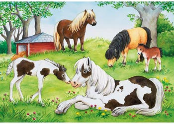 Rburg - World of Horses Puzzle 2x24pc