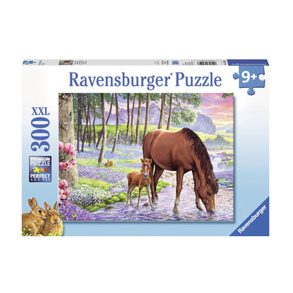 Rburg - Serene Sunset Puzzle 300pc