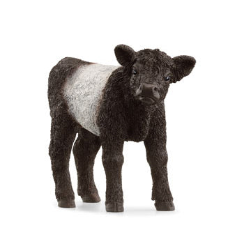 Schleich - Galloway Calf