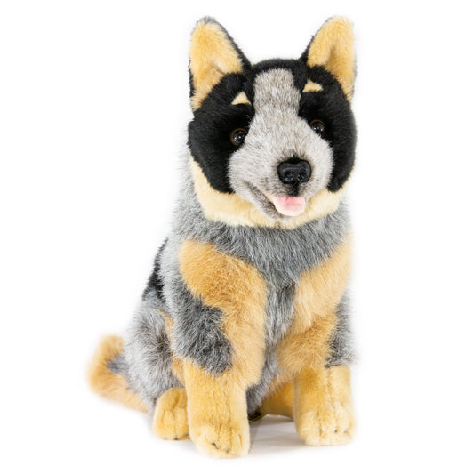 Marshall – Australian Cattle Dog Size 30cm/12″