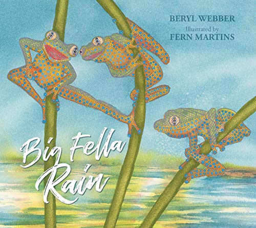 BIG FELLA RAIN book