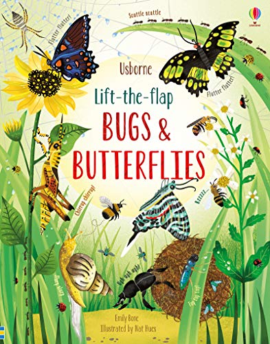LIFT THE FLAP: BUGS AND BUTTERFLIES