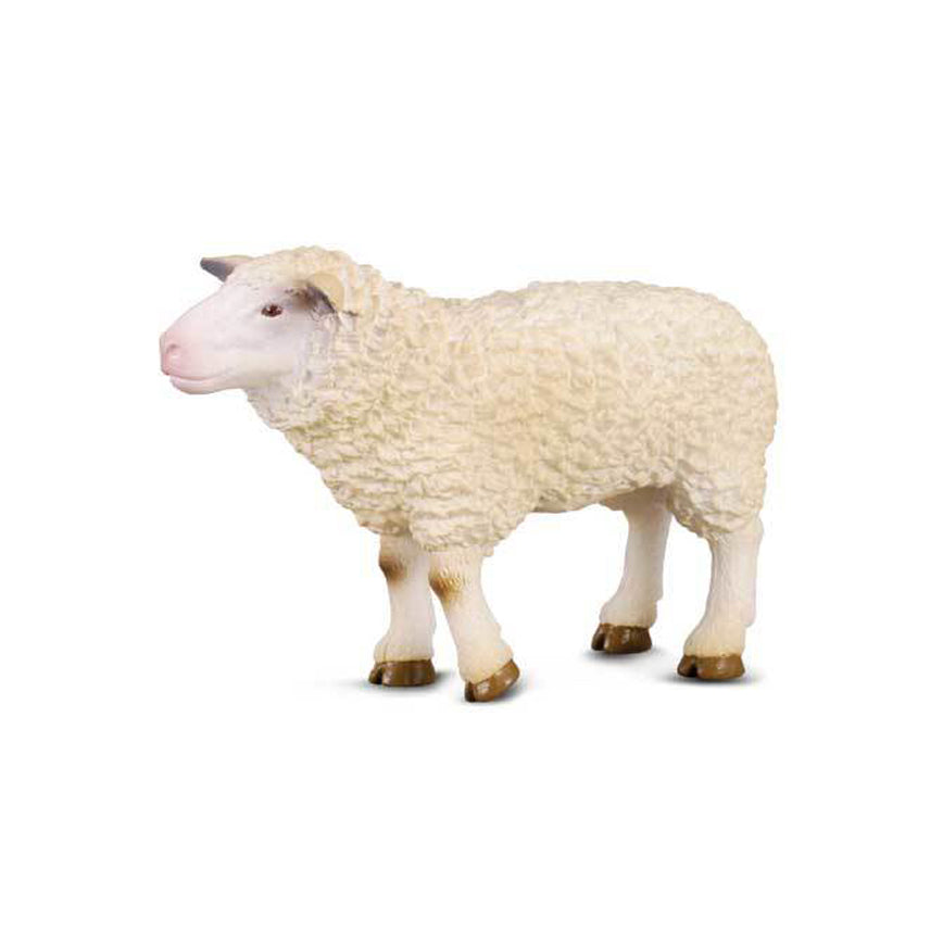 Collecta Sheep (M)