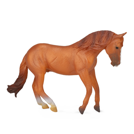 COLLECTA AUSTRALIAN STOCK HORSE STALLION C-NUT (XL)