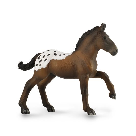 CollectA SUGARBUSH DRAFT FOAL (M)