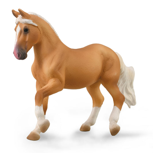 COLLECTA PASO FINO MARE - PALOMINO